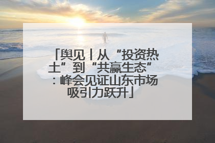 舆见丨从“投资热土”到“共赢生态”：峰会见证山东市场吸引力跃升