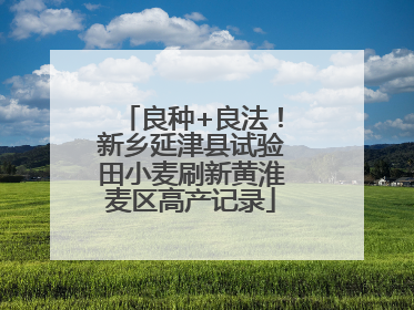 良种+良法！新乡延津县试验田小麦刷新黄淮麦区高产记录