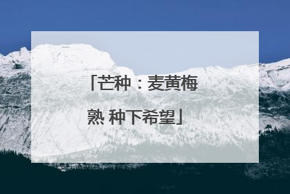 芒种：麦黄梅熟 种下希望