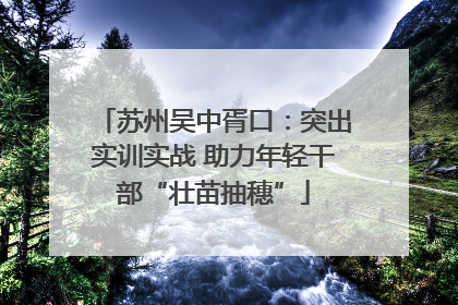 苏州吴中胥口：突出实训实战 助力年轻干部“壮苗抽穗”