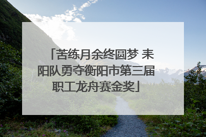 苦练月余终圆梦 耒阳队勇夺衡阳市第三届职工龙舟赛金奖