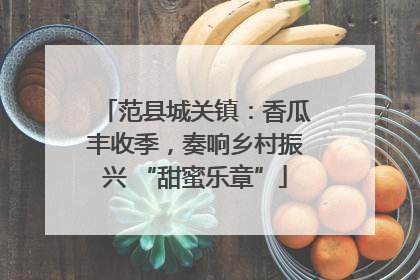 范县城关镇：香瓜丰收季，奏响乡村振兴 “甜蜜乐章”