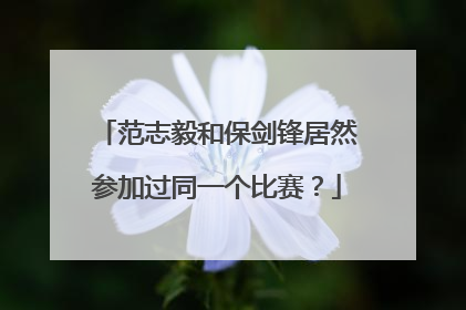 范志毅和保剑锋居然参加过同一个比赛？