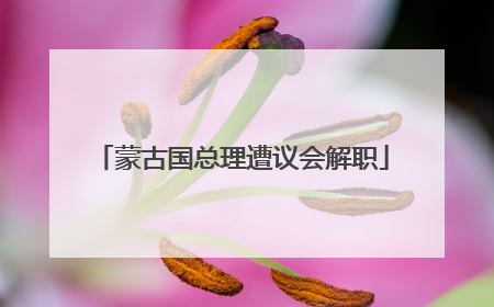 蒙古国总理遭议会解职