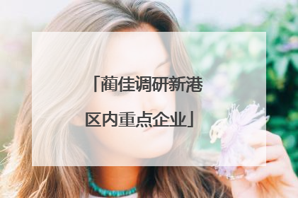 蔺佳调研新港区内重点企业