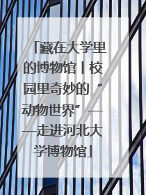 藏在大学里的博物馆丨校园里奇妙的“动物世界”——走进河北大学博物馆
