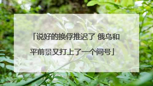 说好的换俘推迟了 俄乌和平前景又打上了一个问号