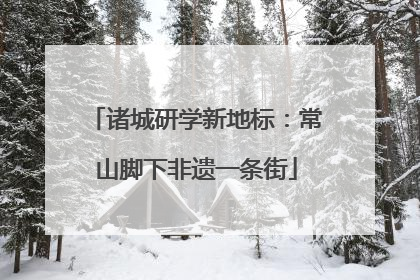 诸城研学新地标：常山脚下非遗一条街