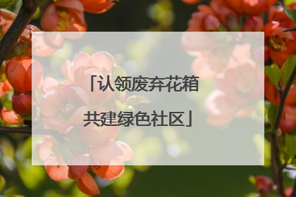 认领废弃花箱 共建绿色社区
