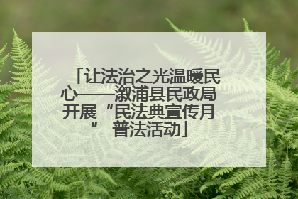 让法治之光温暖民心——溆浦县民政局开展“民法典宣传月” 普法活动