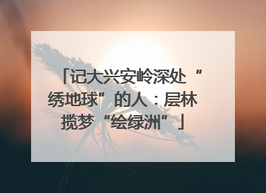记大兴安岭深处“绣地球”的人：层林揽梦“绘绿洲”