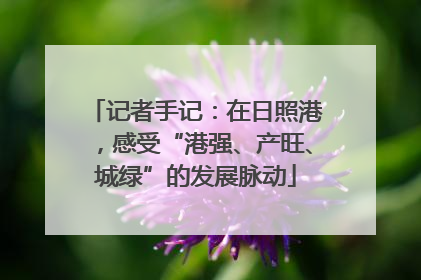 记者手记：在日照港，感受“港强、产旺、城绿”的发展脉动