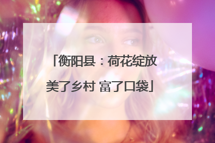 衡阳县：荷花绽放 美了乡村 富了口袋