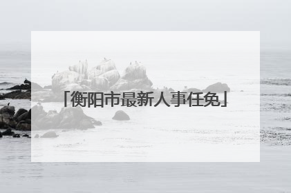 衡阳市最新人事任免