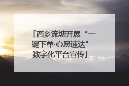 西乡流塘开展“一键下单·心愿速达”数字化平台宣传