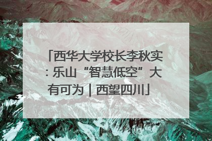 西华大学校长李秋实：乐山“智慧低空”大有可为｜西望四川