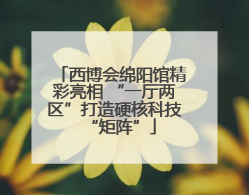 西博会绵阳馆精彩亮相 “一厅两区”打造硬核科技“矩阵”