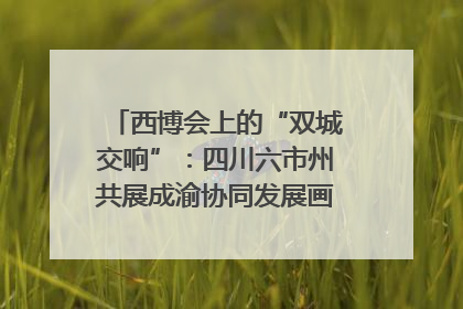 西博会上的“双城交响”：四川六市州共展成渝协同发展画卷｜西博视界