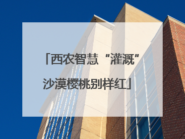 西农智慧“灌溉” 沙漠樱桃别样红