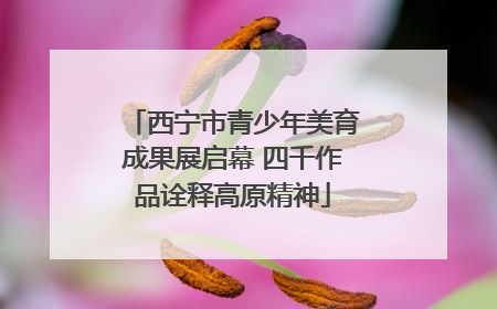 西宁市青少年美育成果展启幕 四千作品诠释高原精神