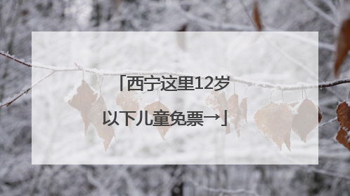 西宁这里12岁以下儿童免票→