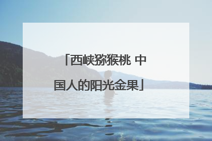 西峡猕猴桃 中国人的阳光金果