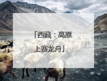 西藏：高原上赛龙舟