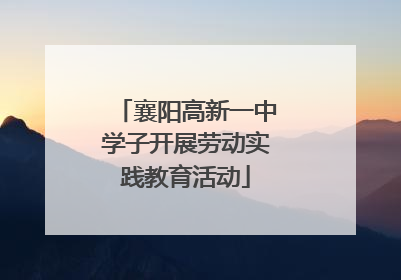 襄阳高新一中学子开展劳动实践教育活动