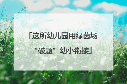 这所幼儿园用绿茵场“破题”幼小衔接