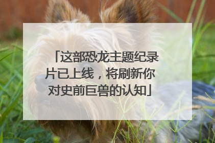 这部恐龙主题纪录片已上线，将刷新你对史前巨兽的认知