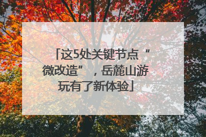 这5处关键节点“微改造”，岳麓山游玩有了新体验