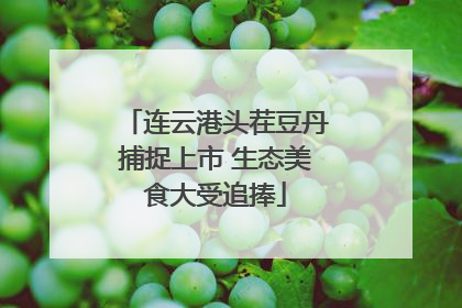 连云港头茬豆丹捕捉上市 生态美食大受追捧