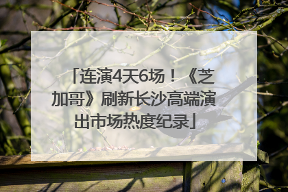 连演4天6场！《芝加哥》刷新长沙高端演出市场热度纪录
