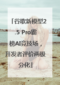 谷歌新模型2.5 Pro霸榜AI竞技场,开发者评价两极分化