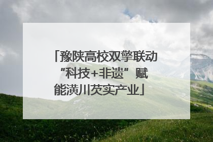 豫陕高校双擎联动 “科技+非遗”赋能潢川芡实产业