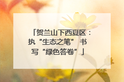 贺兰山下西夏区：执“生态之笔” 书写“绿色答卷”