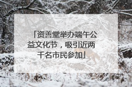 资善堂举办端午公益文化节，吸引近两千名市民参加