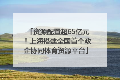 资源配置超65亿元！上海搭建全国首个政企协同体育资源平台