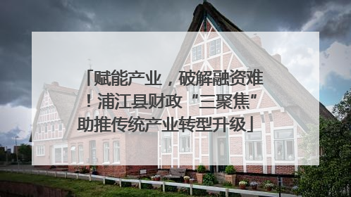 赋能产业，破解融资难！浦江县财政“三聚焦”助推传统产业转型升级