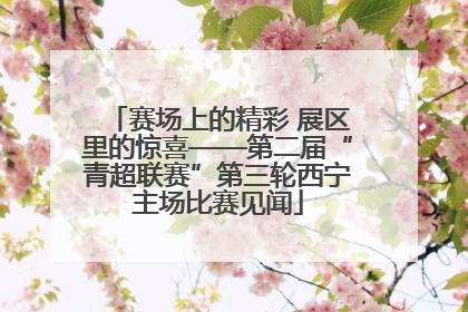 赛场上的精彩 展区里的惊喜——第二届“青超联赛”第三轮西宁主场比赛见闻