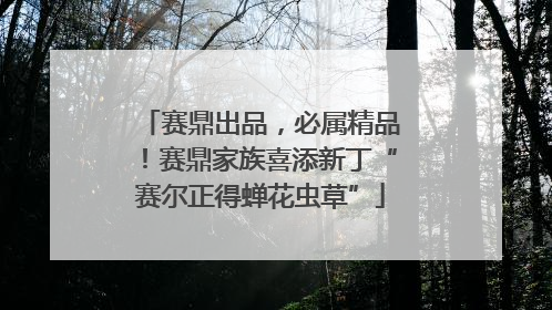 赛鼎出品，必属精品！赛鼎家族喜添新丁“赛尔正得蝉花虫草”