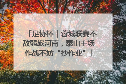 足协杯｜蓉城联赛不敌弱旅河南，泰山主场作战不妨“抄作业”