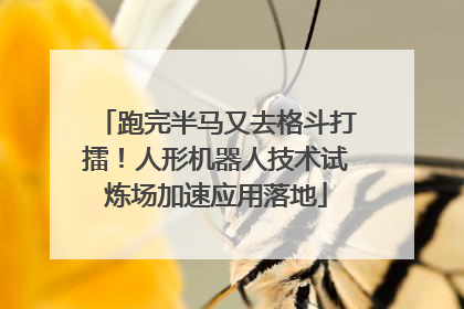 跑完半马又去格斗打擂！人形机器人技术试炼场加速应用落地