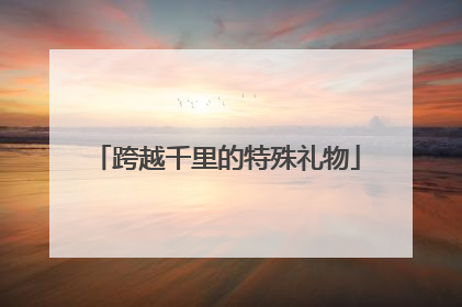 跨越千里的特殊礼物