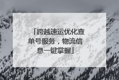 跨越速运优化查单号服务，物流信息一键掌握