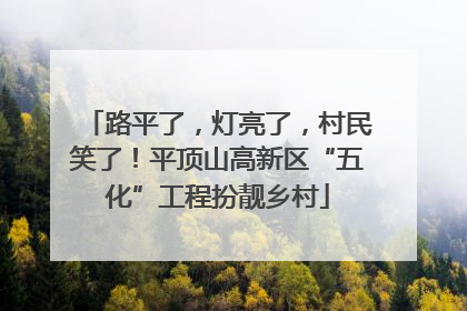 路平了，灯亮了，村民笑了！平顶山高新区“五化”工程扮靓乡村