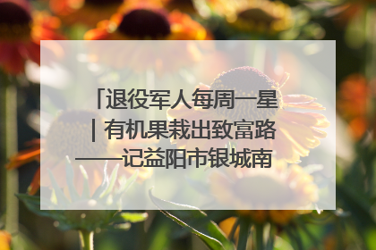 退役军人每周一星｜有机果栽出致富路——记益阳市银城南湖蔬果农民专业合作社总经理晏桂明