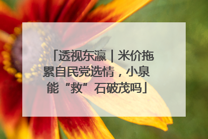 透视东瀛｜米价拖累自民党选情，小泉能“救”石破茂吗