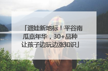 遛娃新地标！平谷南瓜嘉年华，30+品种让孩子边玩边涨知识