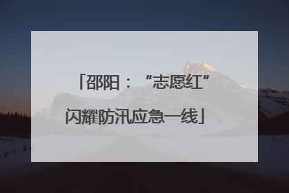 邵阳：“志愿红”闪耀防汛应急一线